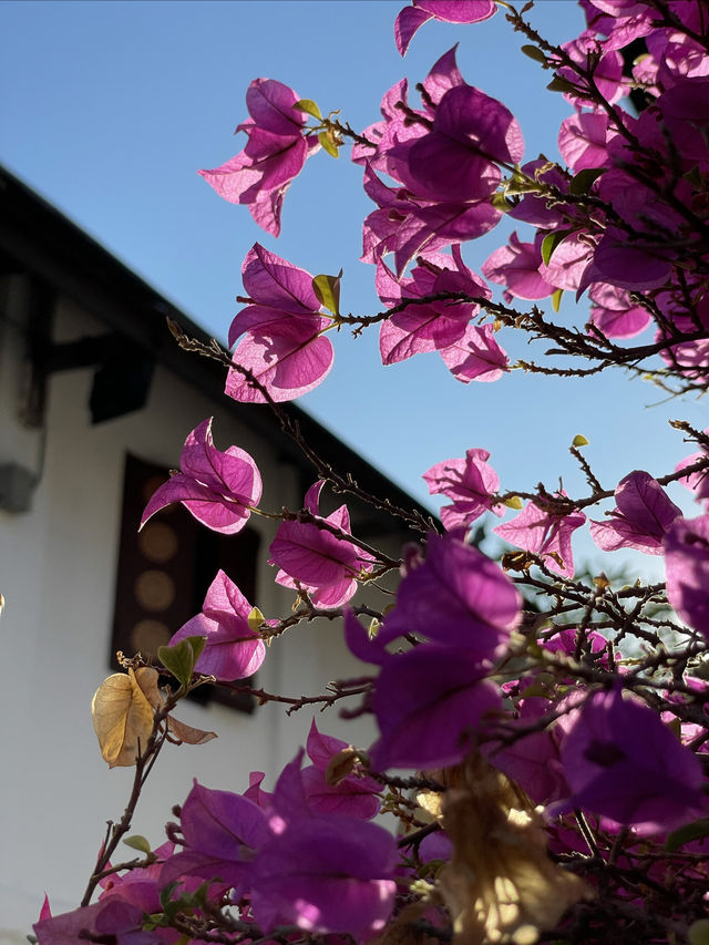 香通寺，