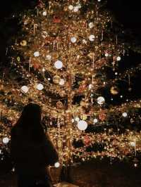 Celebrate Christmas in a Forest of Lights at Karuizawa Kogen Church