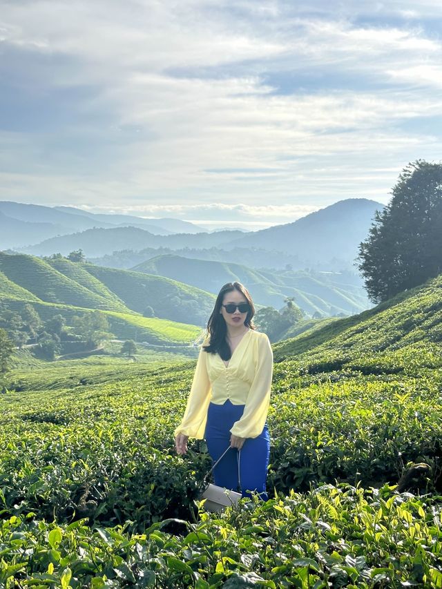 Cameron Highland, expensive getaway