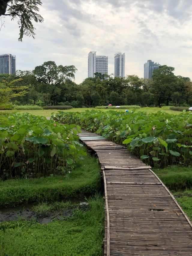 Wachirabenchathat Park (Rot Fai Park)