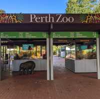 Wild Wonders: A Day at Perth Zoo