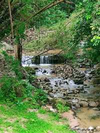 Exploring the Penang Hill Biosphere Reserve