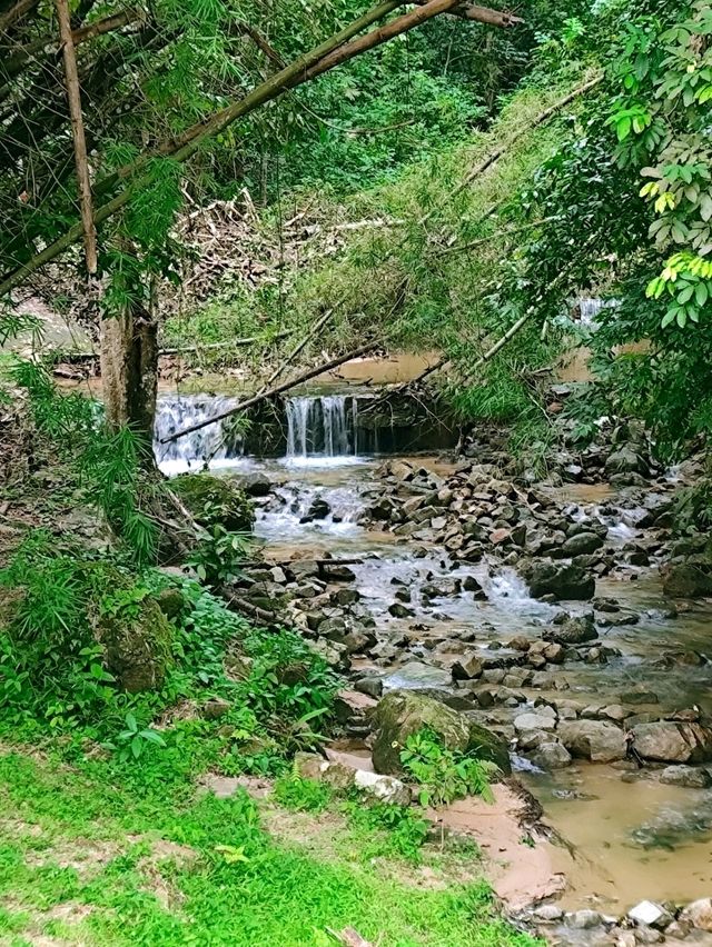 Exploring the Penang Hill Biosphere Reserve