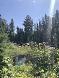 Beaver Pond in Lake Temagami, Ontario, Canada 🇨🇦