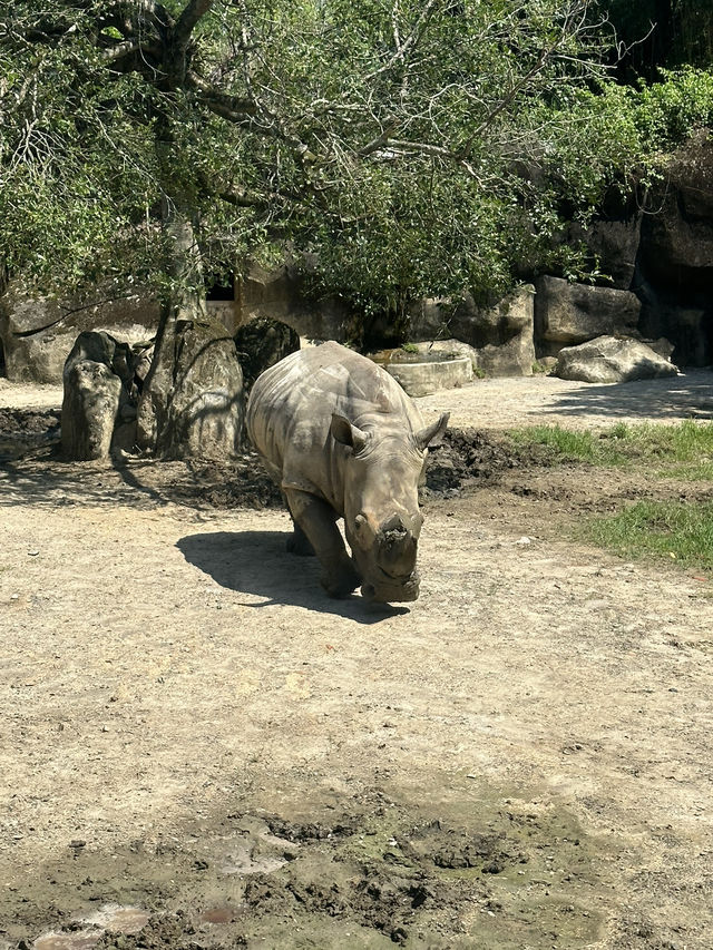 Animaland at Taipei Zoo