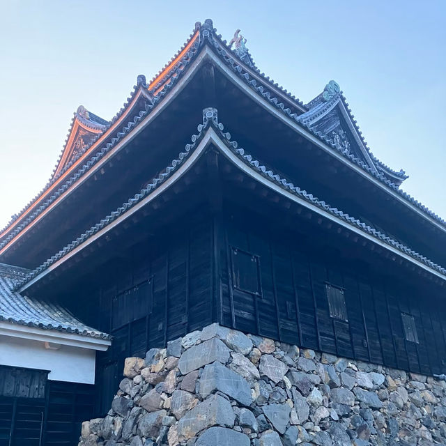 盛岡城：穿越時光日本城堡🌸🏯