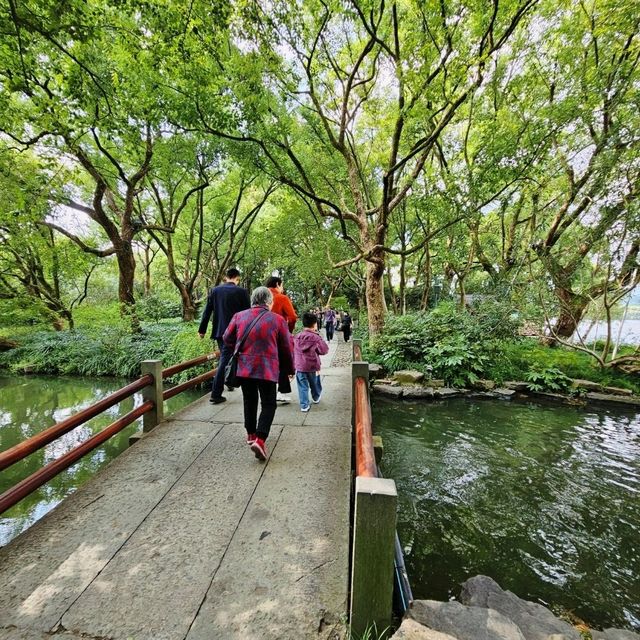 A Perfect Day at West Lake, Hangzhou: Scenic Serenity Awaits!