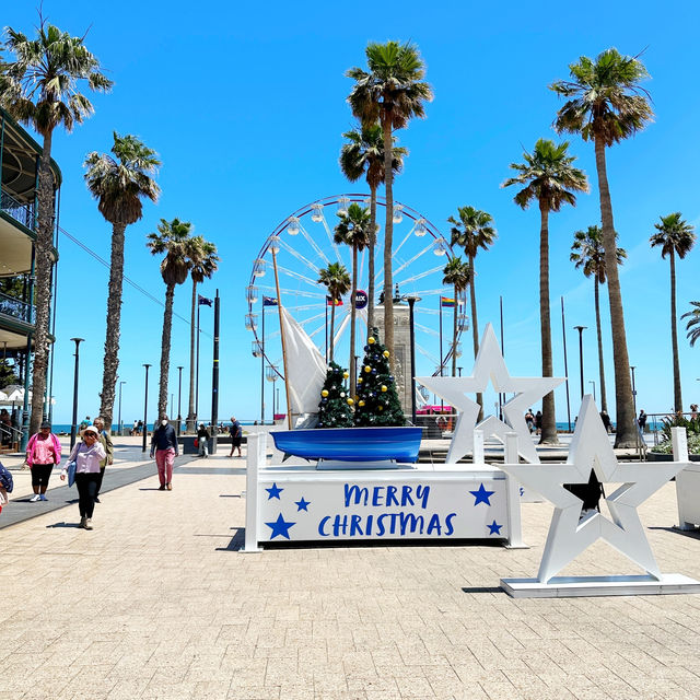 Half day trip to Glenelg beach 