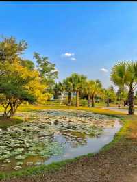 Xishuangbanna Tropical Botanical Garden: A Paradise of Biodiversity 