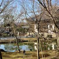 Discover Serenity at Kennin-ji Temple, Kyoto