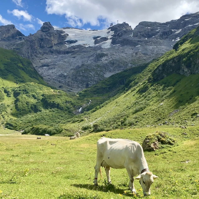 Engelberg's natural beauty 🌲