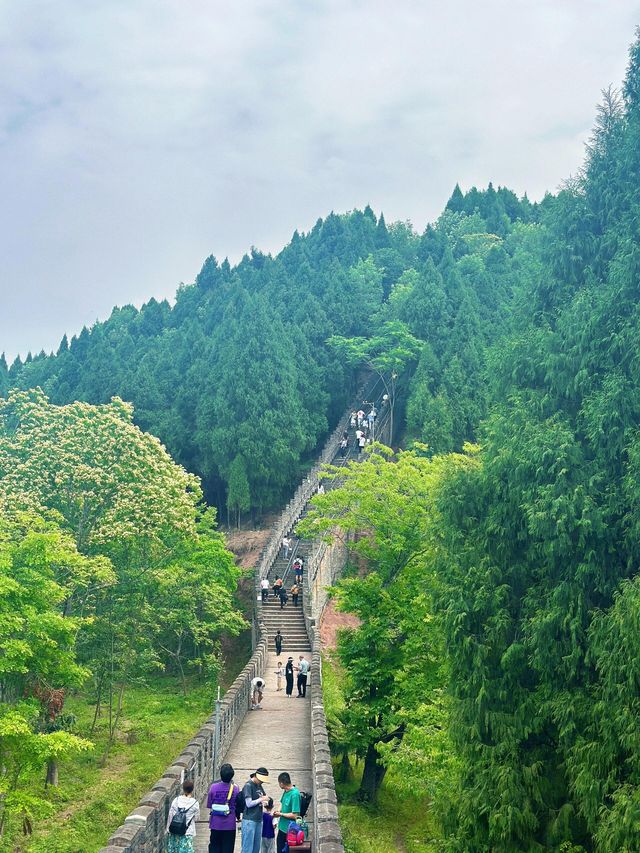 戶外遛娃天花板|爬長城坐叢林過山車咯