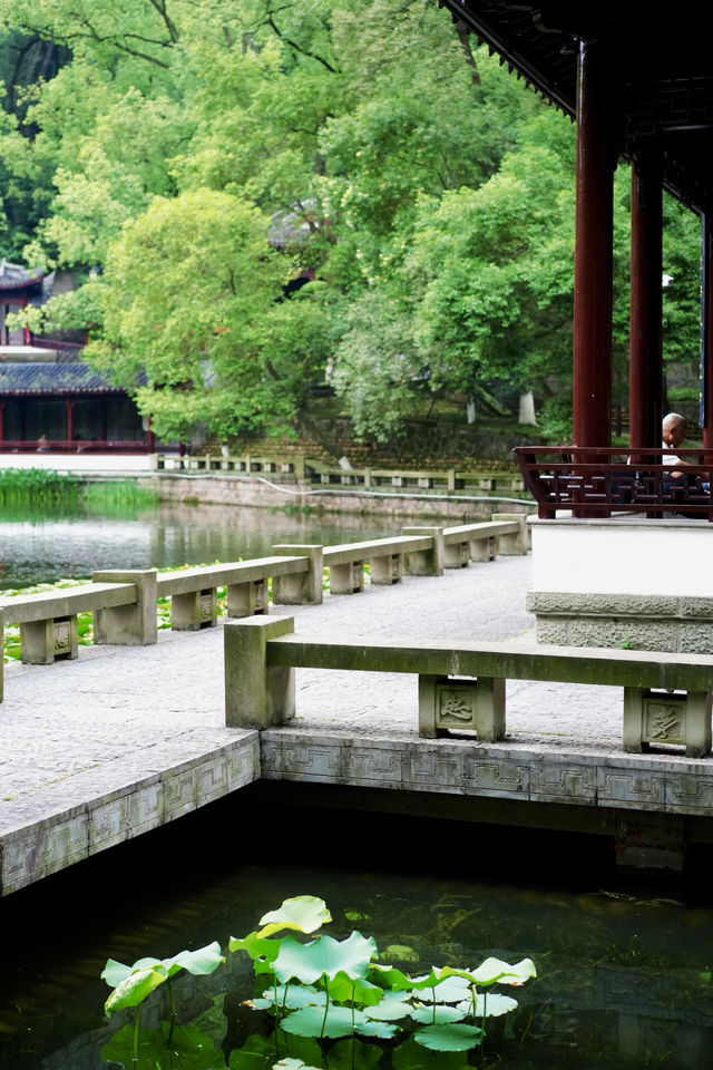 浪漫泸州｜藏在忠山公園的松弛感