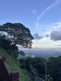 廣州｜ 黃埔油麻山森林公園。