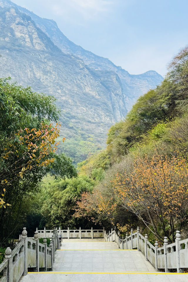 深秋的少華山，拜託快點更換纜車吧！