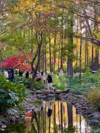 上海|延中廣場公園治好了我的京都戒斷症