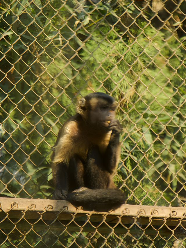 冬季反向遊 | 附上海動物園互動遊玩攻略