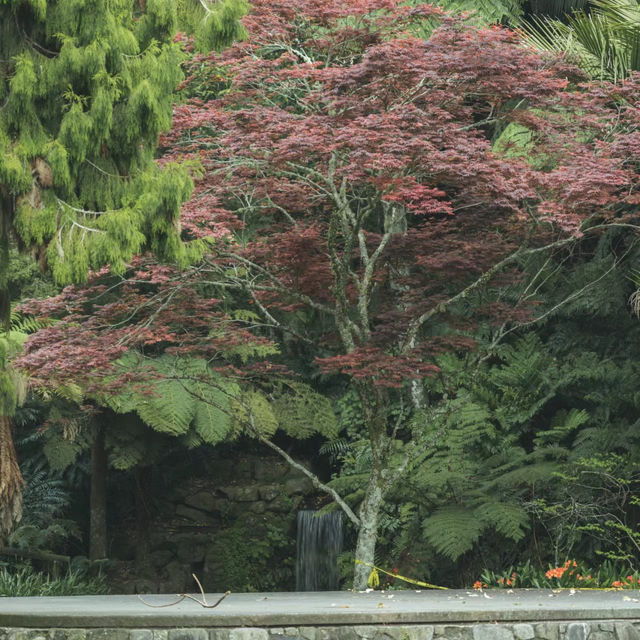 吉隆坡湖濱公園：綠洲中的城市樂趣，享受寧靜與平和