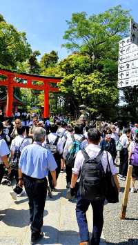 Exploring the Heart of Kyoto