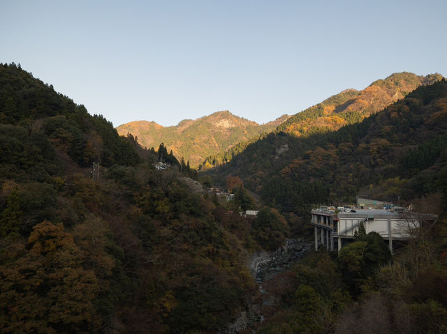 [四國自駕遊] 德島祖谷紅葉之旅