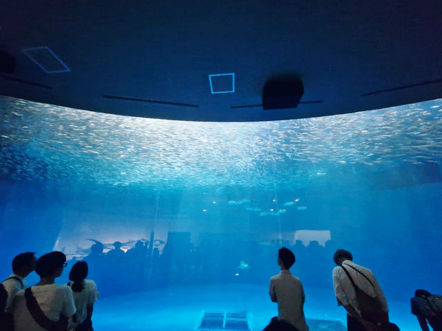 Port Of Nagoya Public Aquarium 