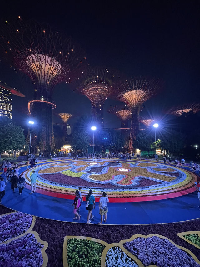 🇸🇬Gardens by the Bay - Mid Autumn 2024 