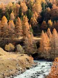 Autumn in Switzerland