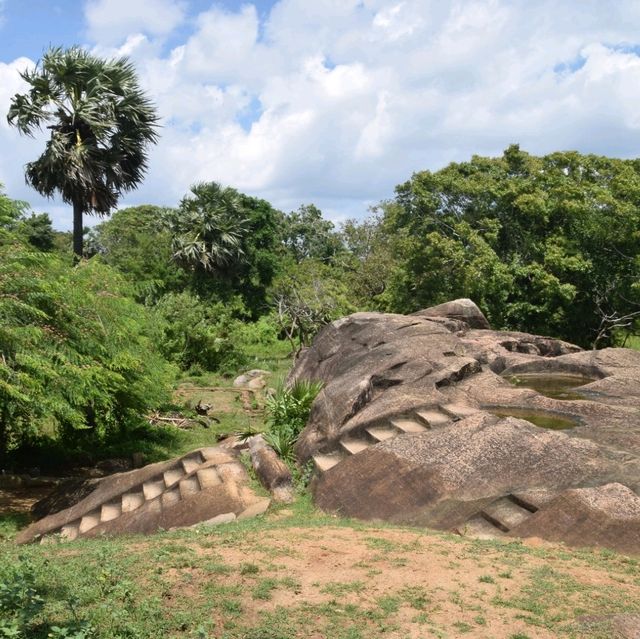 A relaxing walk in the Royal Park 🇱🇰