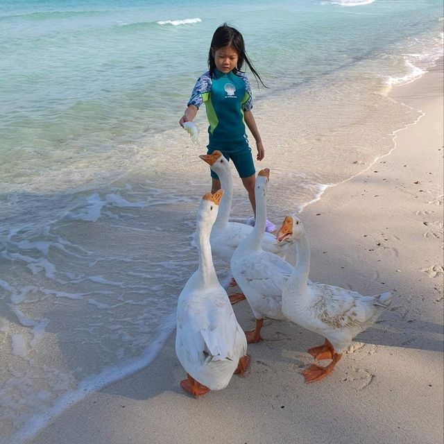 หาดเทียน & แสมสาร ในวันฟ้าใส