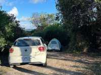 Bay of Fires: Tasmania’s Coastal Wonderland