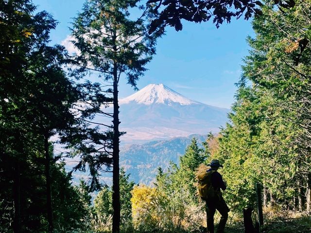 【山梨×杓子山】富士山絶景が広がるハイキングスポット