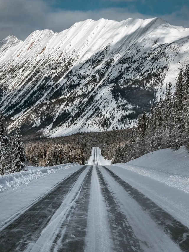 Driving into Jasper National Park