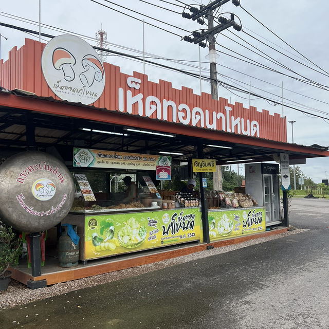 สวนเดอลอง เมืองเกษตรแปรรูป จ.พัทลุง