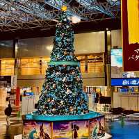 Festive Magic Takes Flight in CTS airport