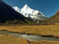 Best Autumn Viewing Experience 1/3 [Luorong Pasture, Yading Nature Reserve]