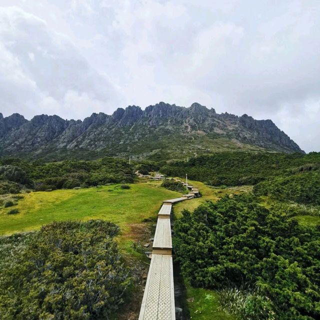 Solo Hiking Mount Cradle, Tasmania, Australia