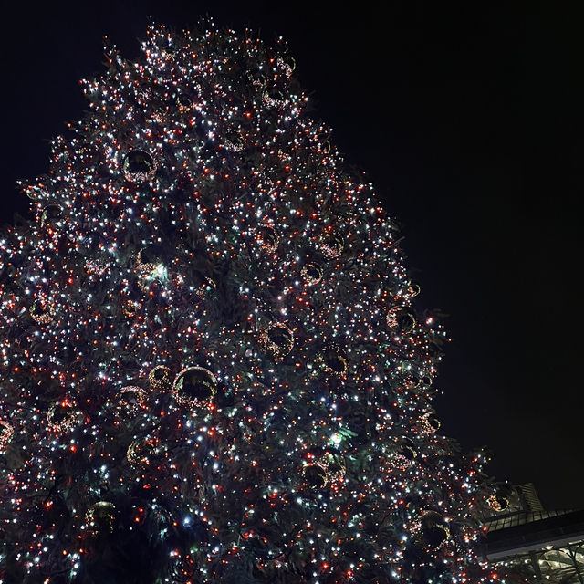 Twinkling Lights and Festive Nights: Christmas in London