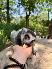 北京動物園