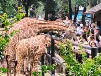 廣州動物園一遊。