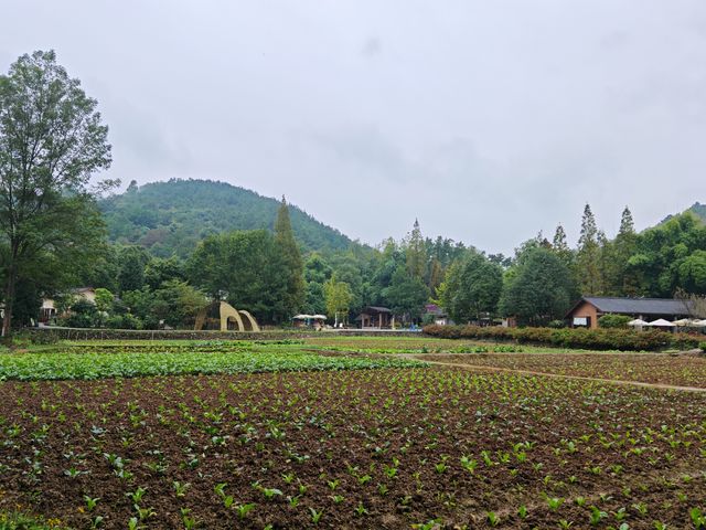 道明竹藝村。