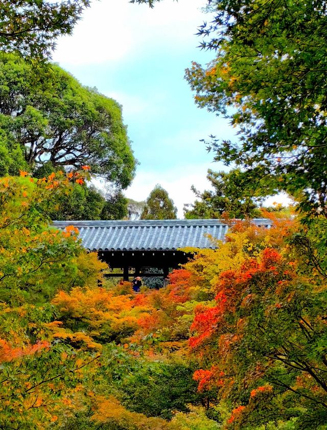 東福寺。