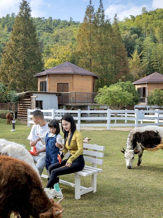 安吉莫牛牛小牧場莊園，親子遊玩好去處！