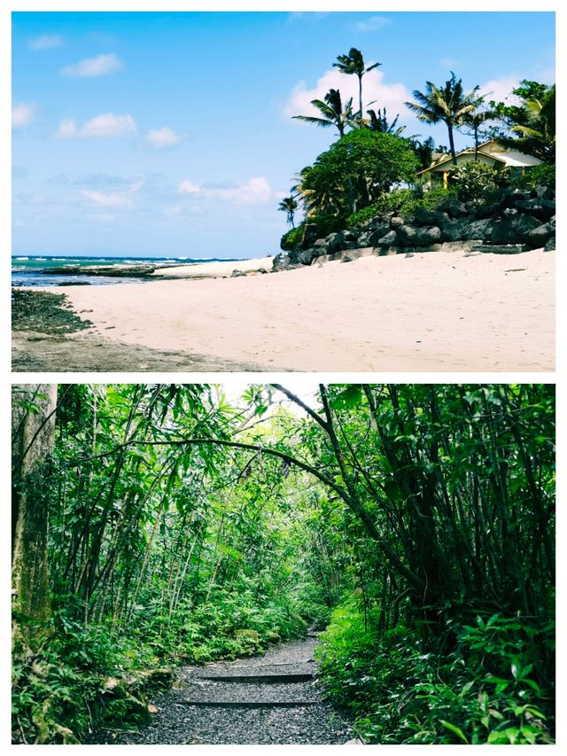 夏威夷可愛島，深度感受自然之美