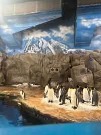 Hong Kong Ocean Park Travel Guide