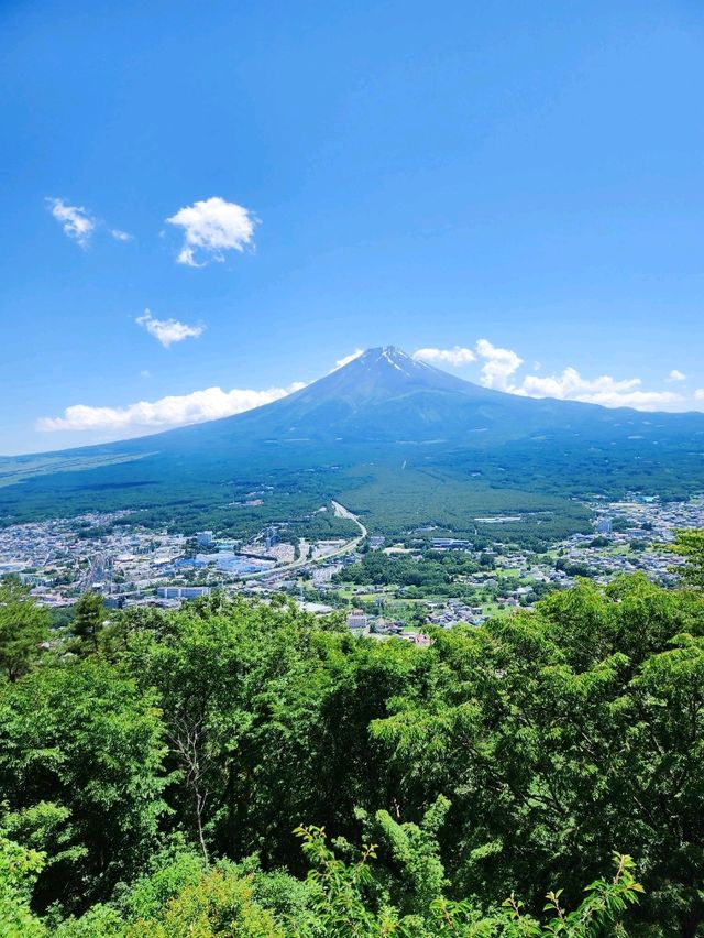 ✨️富士山河口湖親子遊✨️