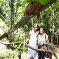 My dear friend in bohol