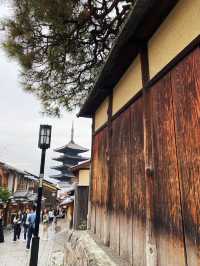 Priceless Stroll in the street of Japan