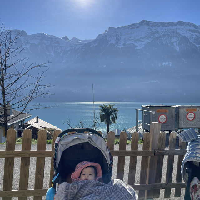 Babies Across Switzerland