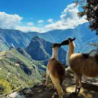 Machu Picchu, Peru