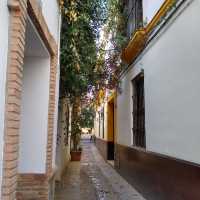 Barrio Santa Cruz – The Heart of Old Seville